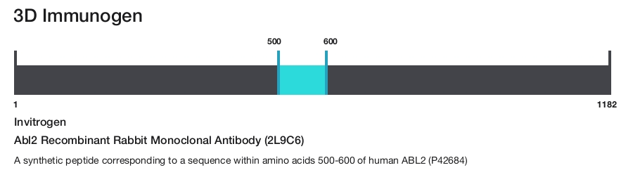 Abl2 Recombinant Rabbit Monoclonal Antibody (2L9C6)