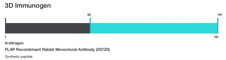 FLAP Recombinant Rabbit Monoclonal Antibody (2S7Z0)