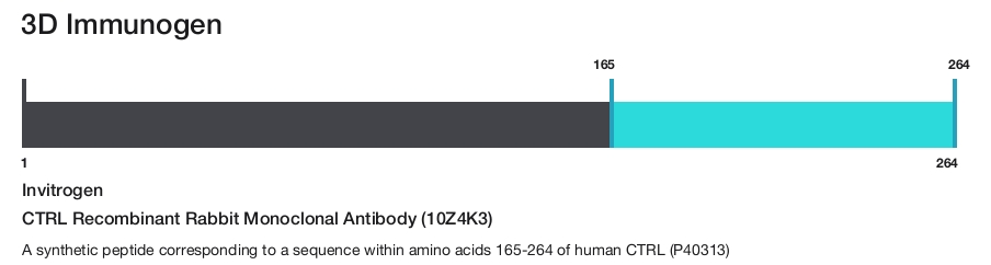 CTRL Recombinant Rabbit Monoclonal Antibody (10Z4K3)
