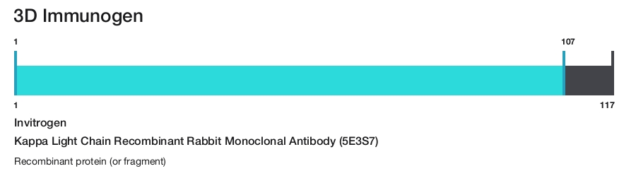 Kappa Light Chain Recombinant Rabbit Monoclonal Antibody (5E3S7)