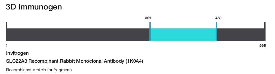 SLC22A3 Recombinant Rabbit Monoclonal Antibody (1K0A4)
