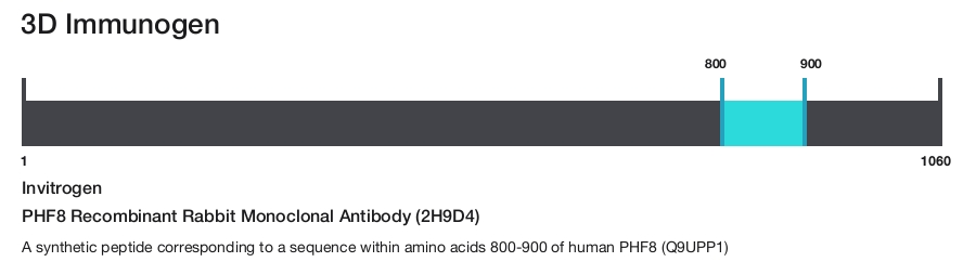 PHF8 Recombinant Rabbit Monoclonal Antibody (2H9D4)