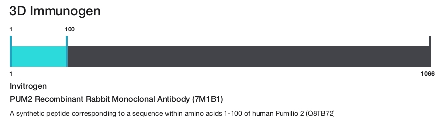 PUM2 Recombinant Rabbit Monoclonal Antibody (7M1B1)