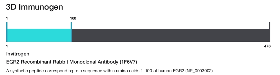 EGR2 Recombinant Rabbit Monoclonal Antibody (1F6V7)