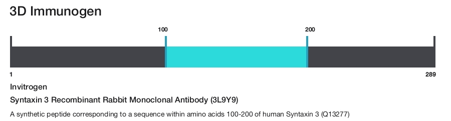 Syntaxin 3 Recombinant Rabbit Monoclonal Antibody (3L9Y9)