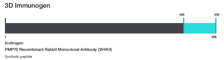 PMP70 Recombinant Rabbit Monoclonal Antibody (3V4K3)