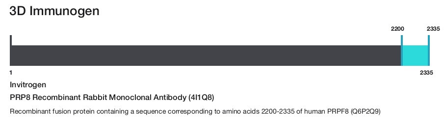 PRP8 Recombinant Rabbit Monoclonal Antibody (4I1Q8)