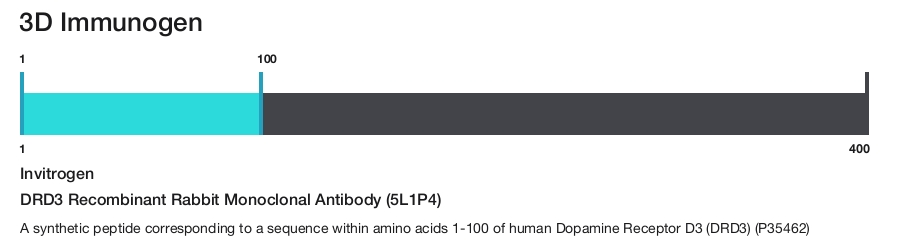 DRD3 Recombinant Rabbit Monoclonal Antibody (5L1P4)