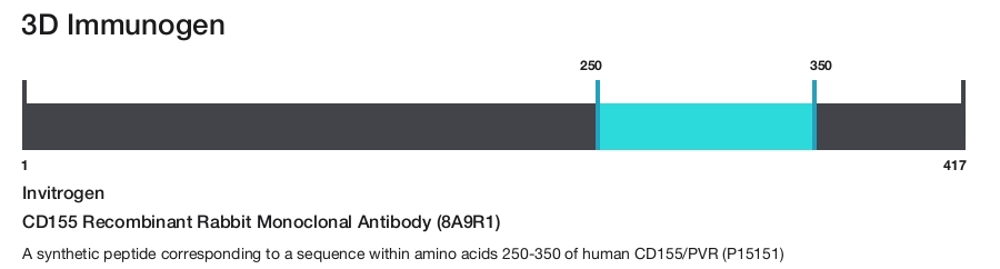 CD155 Recombinant Rabbit Monoclonal Antibody (8A9R1)