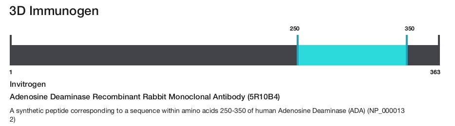 Adenosine Deaminase Recombinant Rabbit Monoclonal Antibody (5R10B4)