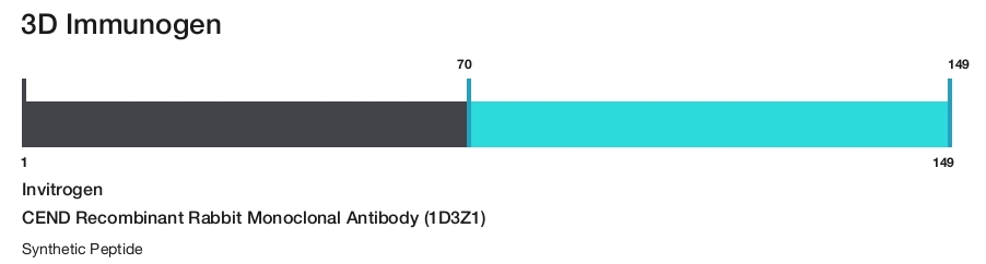 CEND Recombinant Rabbit Monoclonal Antibody (1D3Z1)
