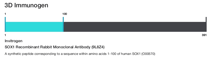 SOX1 Recombinant Rabbit Monoclonal Antibody (9L8Z4)