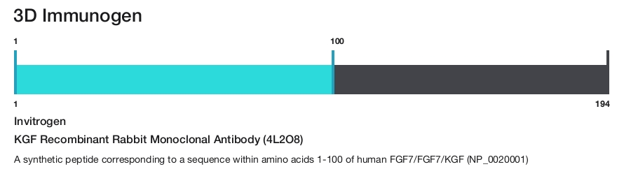KGF Recombinant Rabbit Monoclonal Antibody (4L2O8)