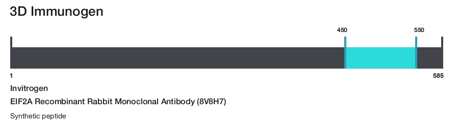 EIF2A Recombinant Rabbit Monoclonal Antibody (8V8H7)