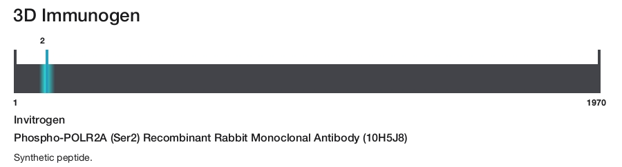 Phospho-POLR2A (Ser2) Recombinant Rabbit Monoclonal Antibody (10H5J8)