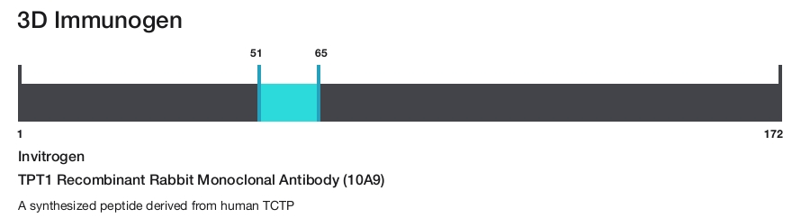 TPT1 Recombinant Rabbit Monoclonal Antibody (10A9)