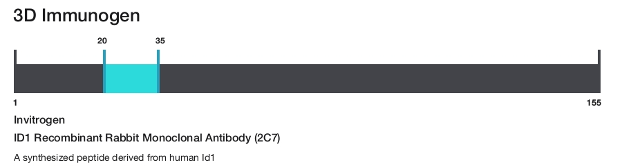 ID1 Recombinant Rabbit Monoclonal Antibody (2C7)