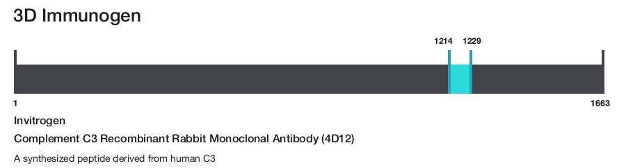 Complement C3 Recombinant Rabbit Monoclonal Antibody (4D12)