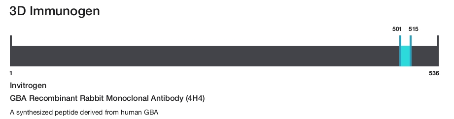 GBA Recombinant Rabbit Monoclonal Antibody (4H4)