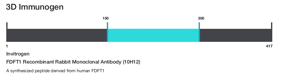 FDFT1 Recombinant Rabbit Monoclonal Antibody (10H12)