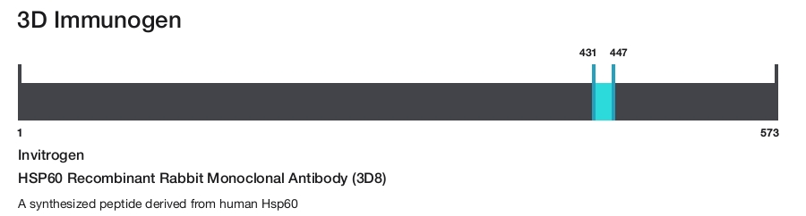 HSP60 Recombinant Rabbit Monoclonal Antibody (3D8)