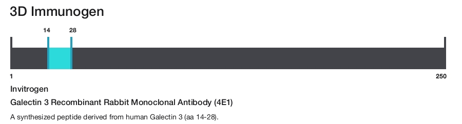 Galectin 3 Recombinant Rabbit Monoclonal Antibody (4E1)