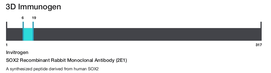 SOX2 Recombinant Rabbit Monoclonal Antibody (2E1)