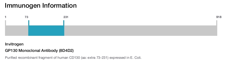 GP130 Monoclonal Antibody (8D4D2)