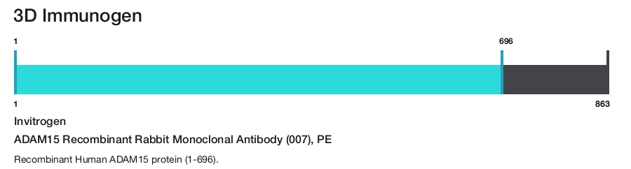 ADAM15 Recombinant Rabbit Monoclonal Antibody (007), PE