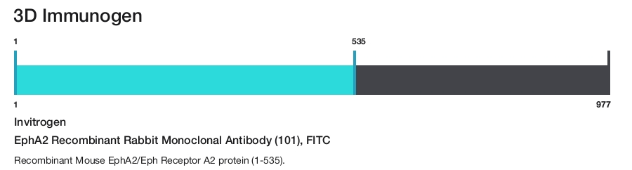 EphA2 Recombinant Rabbit Monoclonal Antibody (101), FITC