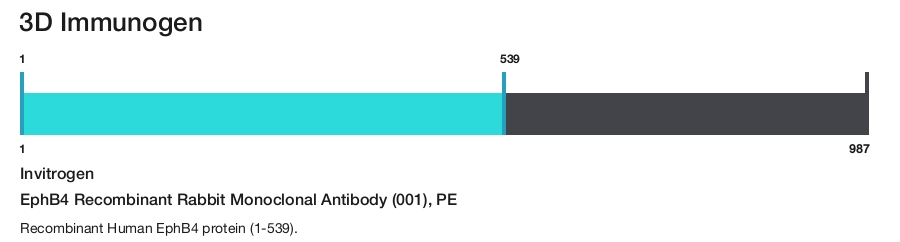 EphB4 Recombinant Rabbit Monoclonal Antibody (001), PE