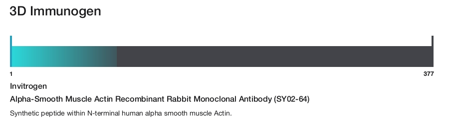 Alpha-Smooth Muscle Actin Recombinant Rabbit Monoclonal Antibody (SY02-64)