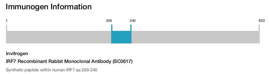 IRF7 Recombinant Rabbit Monoclonal Antibody (SC0617)