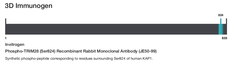 Phospho-TRIM28 (Ser824) Recombinant Rabbit Monoclonal Antibody (JE50-99)