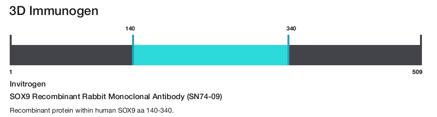 SOX9 Recombinant Rabbit Monoclonal Antibody (SN74-09)