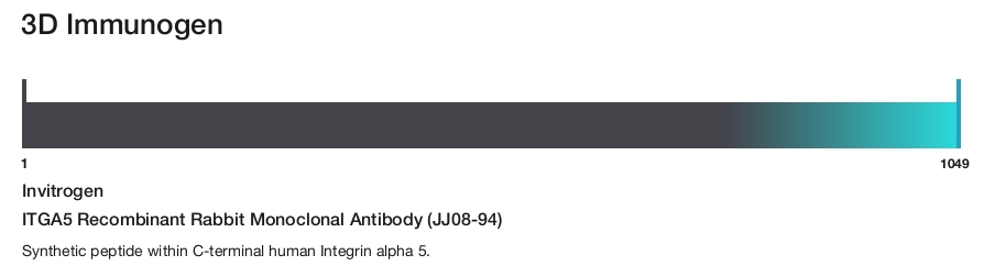 ITGA5 Recombinant Rabbit Monoclonal Antibody (JJ08-94)