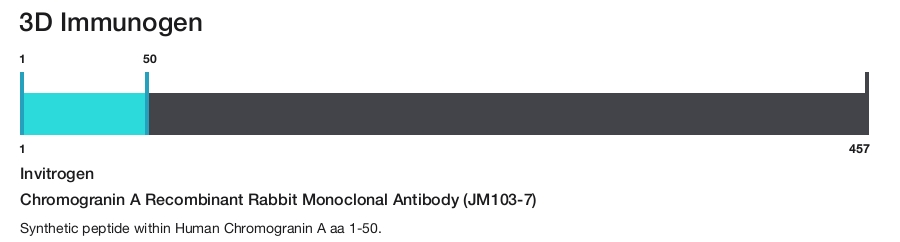 Chromogranin A Recombinant Rabbit Monoclonal Antibody (JM103-7)