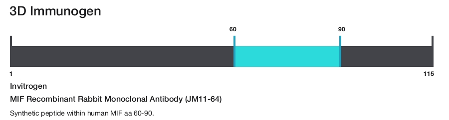 MIF Recombinant Rabbit Monoclonal Antibody (JM11-64)
