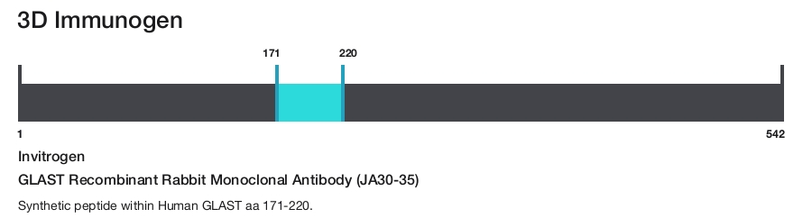 GLAST Recombinant Rabbit Monoclonal Antibody (JA30-35)