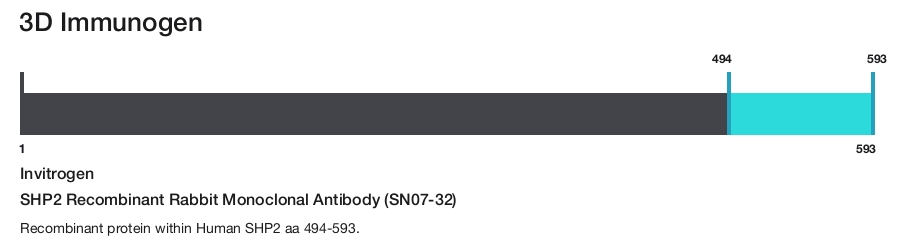 SHP2 Recombinant Rabbit Monoclonal Antibody (SN07-32)