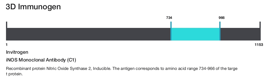 iNOS Monoclonal Antibody (C1)
