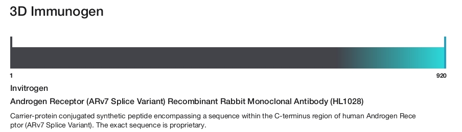 Androgen Receptor (ARv7 Splice Variant) Recombinant Rabbit Monoclonal Antibody (HL1028)