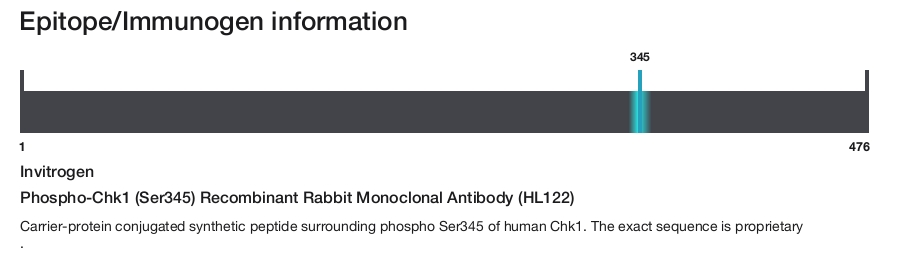 Phospho-Chk1 (Ser345) Recombinant Rabbit Monoclonal Antibody (HL122)