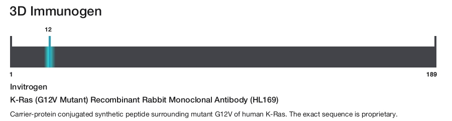 K-Ras (G12V Mutant) Recombinant Rabbit Monoclonal Antibody (HL169)