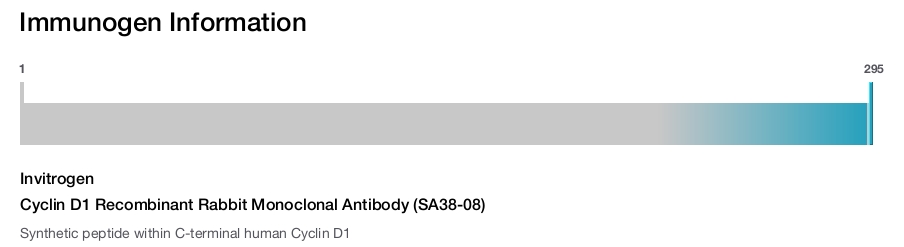 Cyclin D1 Recombinant Rabbit Monoclonal Antibody (SA38-08)