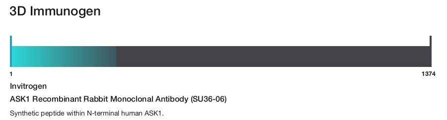 ASK1 Recombinant Rabbit Monoclonal Antibody (SU36-06)