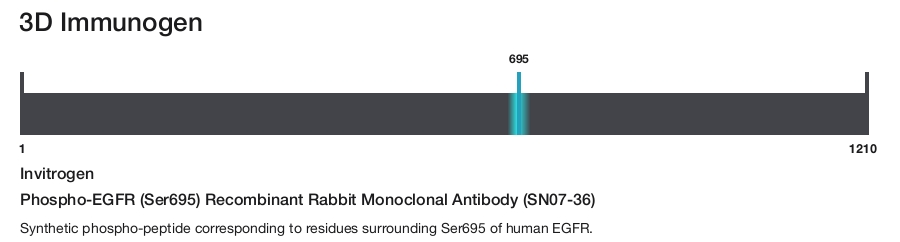 Phospho-EGFR (Ser695) Recombinant Rabbit Monoclonal Antibody (SN07-36)