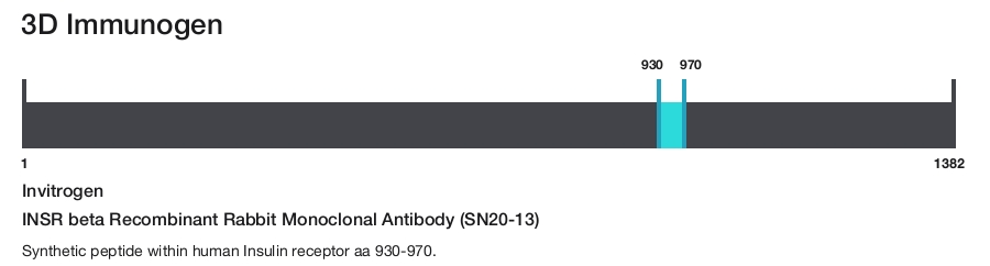 INSR beta Recombinant Rabbit Monoclonal Antibody (SN20-13)