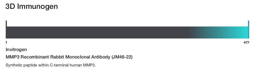MMP3 Recombinant Rabbit Monoclonal Antibody (JM46-22)