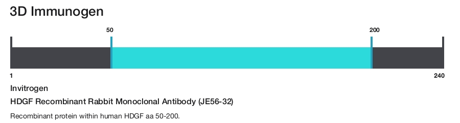 HDGF Recombinant Rabbit Monoclonal Antibody (JE56-32)